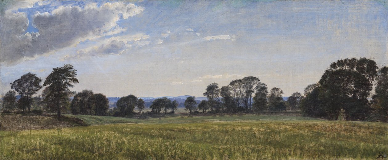 Łąki w Dortheaslyst autorstwa P.C. Skovgaard
