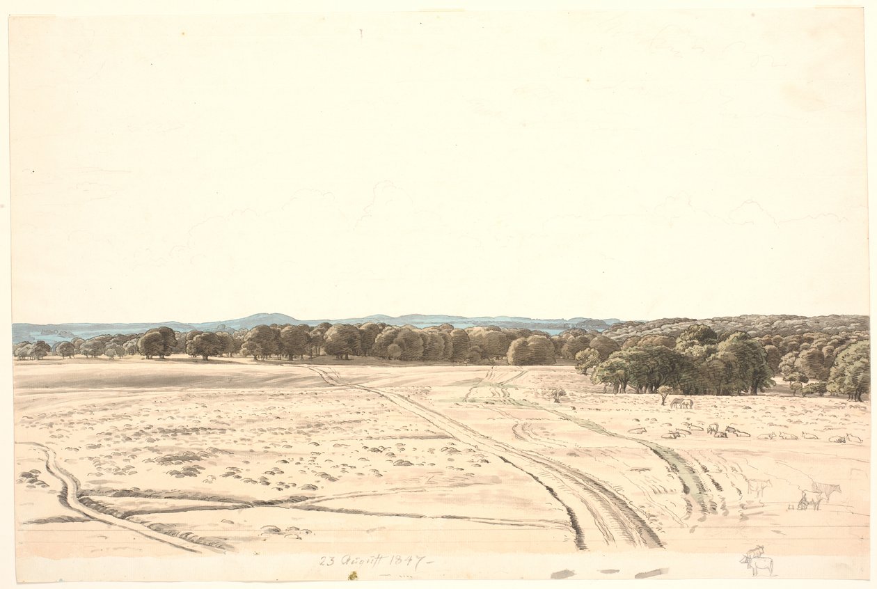 Z Równiny Ermitażu. autorstwa P.C. Skovgaard