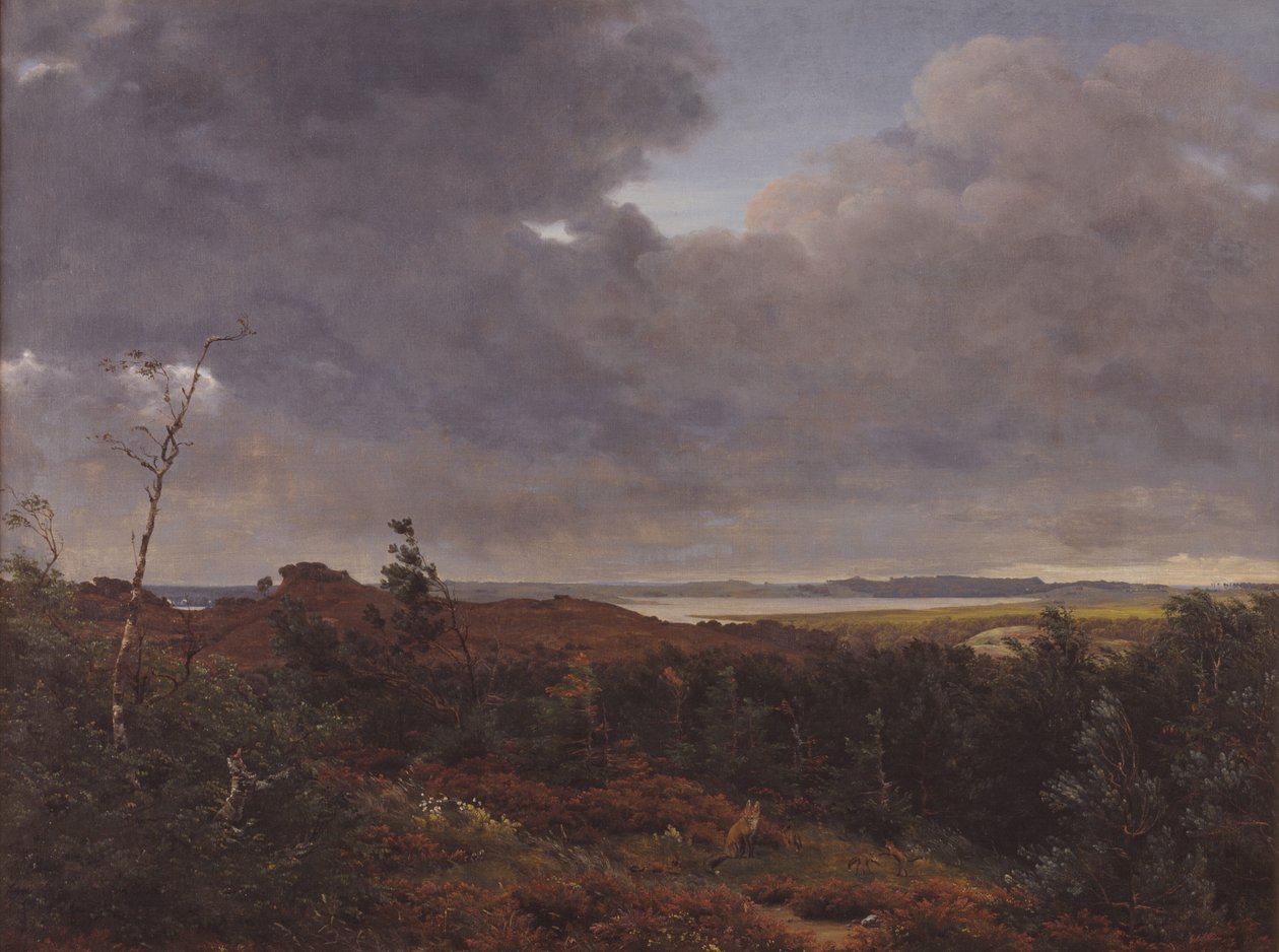 Widok Frederiksværk z lasu Tisvilde, Północna Zelandia autorstwa P.C. Skovgaard