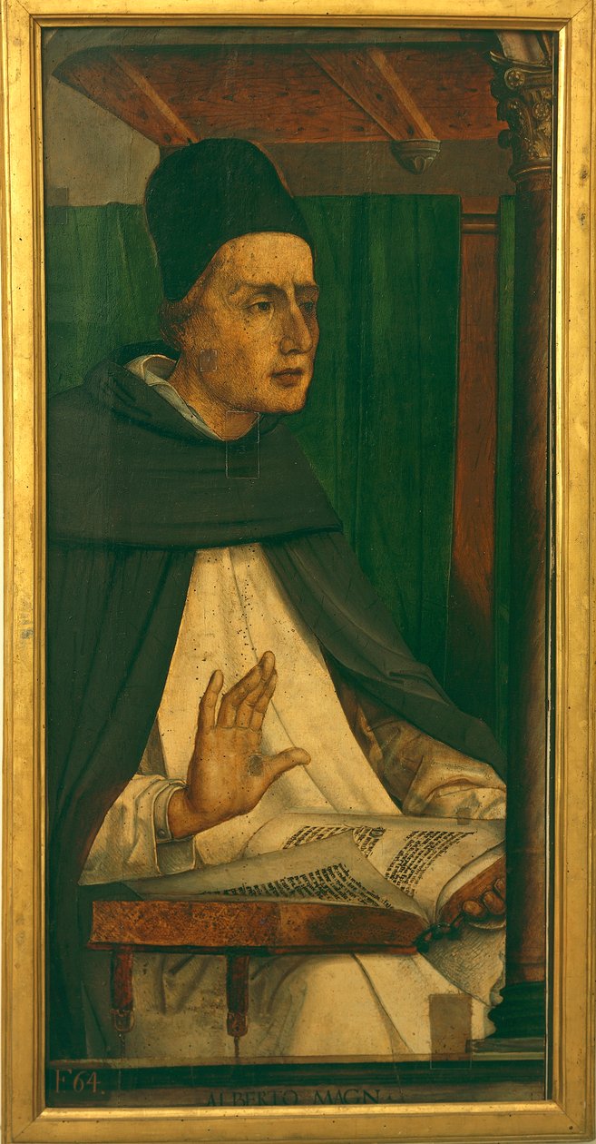 Albert Wielki (olej na płótnie) autorstwa P. (c.1450 1504) Joos van Gent and Berruguete