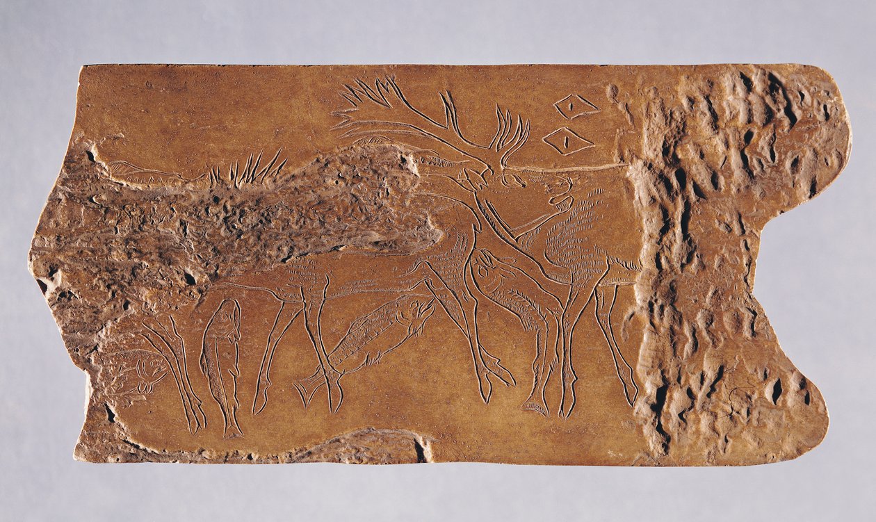 Róg renifera rzeźbiony z jelenia i skaczącego łososia, z Grotte de Lortet, Magdalen, 15000-18000 pne (róg) autorstwa Paleolithic