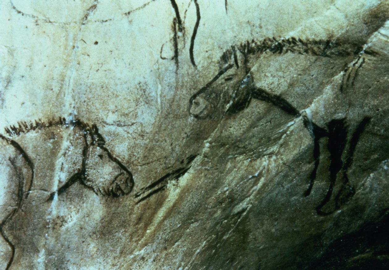 Konie, malowidła naskalne w Sali Czarnej, Magdalen (malarstwo jaskiniowe) autorstwa Paleolithic Paleolithic