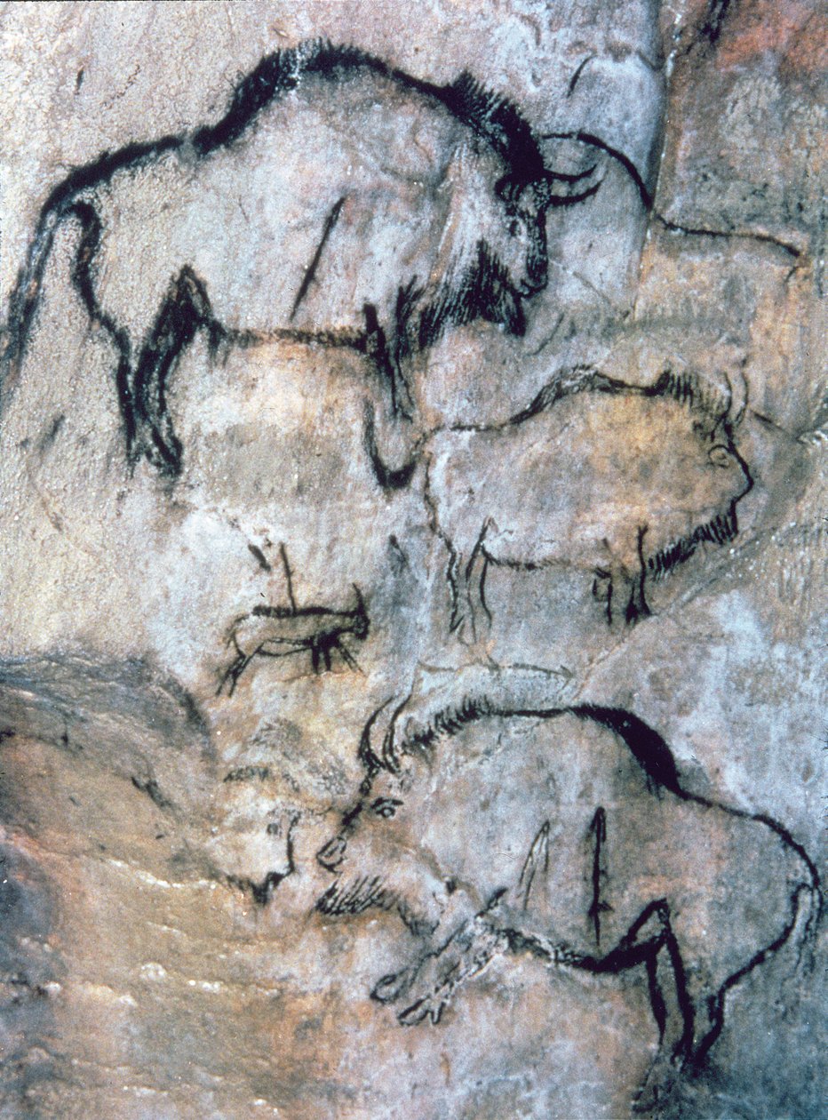 Ranny żubr, magdalen (malowidło jaskiniowe) autorstwa Paleolithic Paleolithic