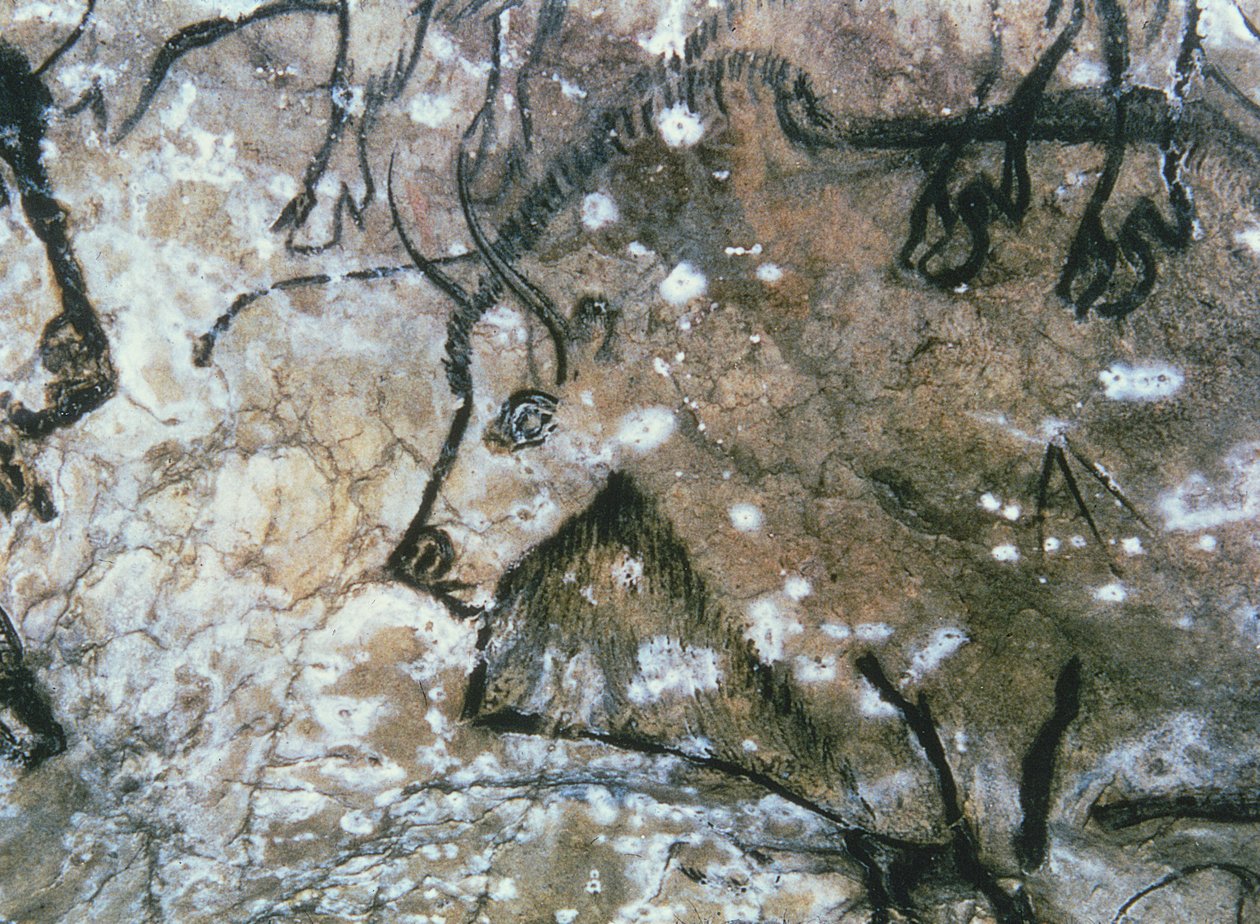 Ranny byk, malowidło naskalne, magdalen (malowidło jaskiniowe) autorstwa Paleolithic Paleolithic