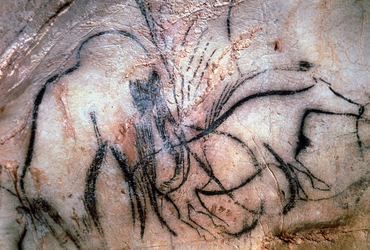 Malowidła przedstawiające mamuty i bydło z Kaplicy Mamuta (malarstwo jaskiniowe) autorstwa Paleolithic Paleolithic