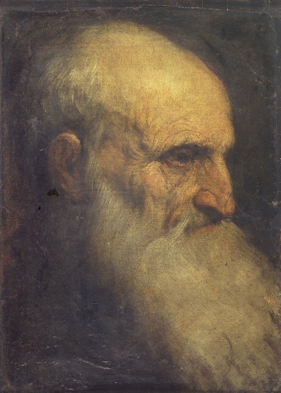 Głowa mężczyzny (przód), ok. 1588-90 (olej na płótnie) autorstwa Palma Il Giovane