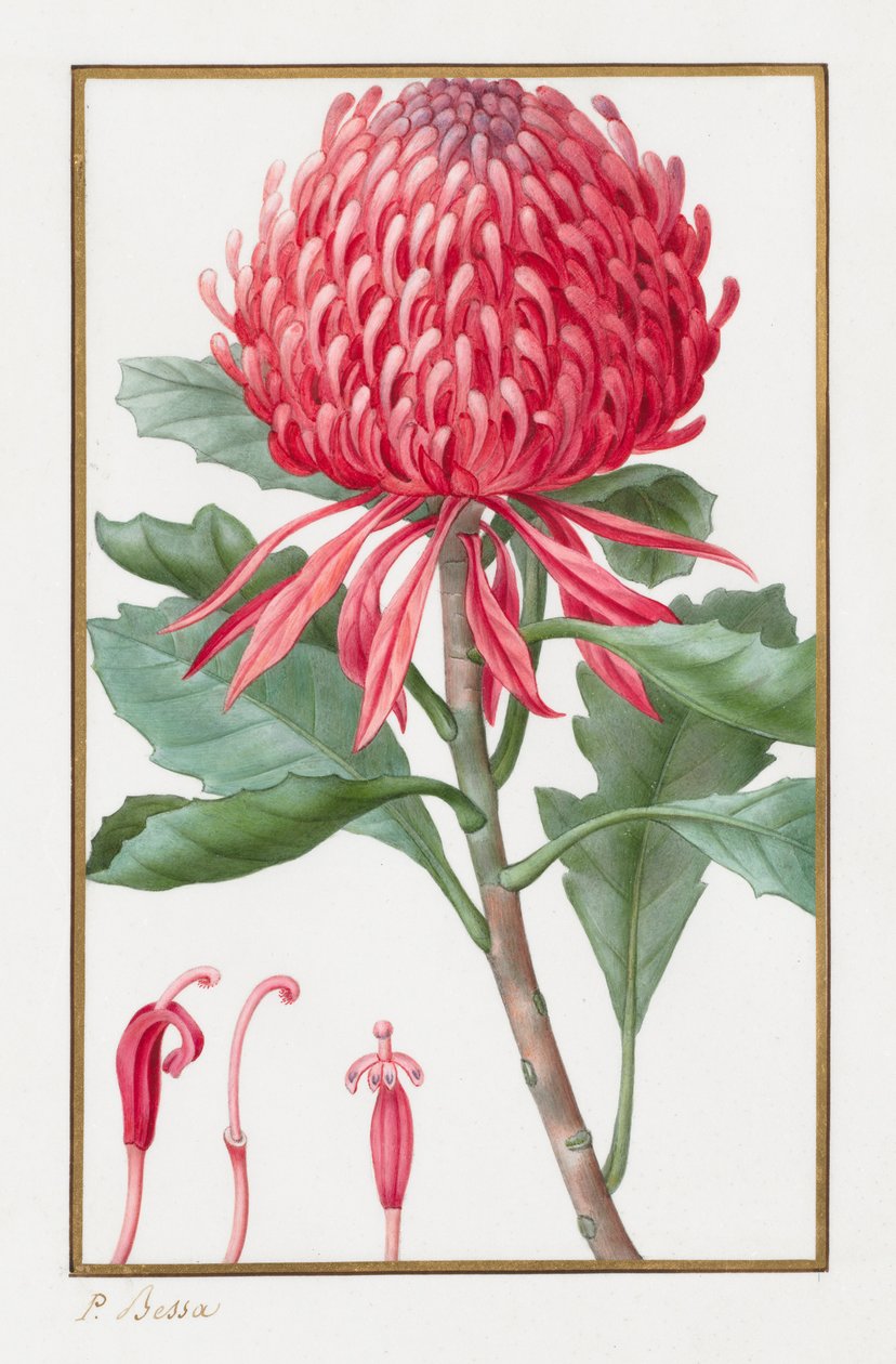 Bez tytułu, 1828-1835. autorstwa Pancrace Bessa
