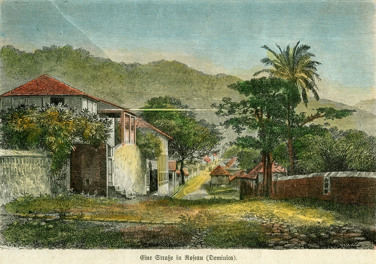Ulica w Roseau, Dominika, ok. 1880 r. autorstwa Pann