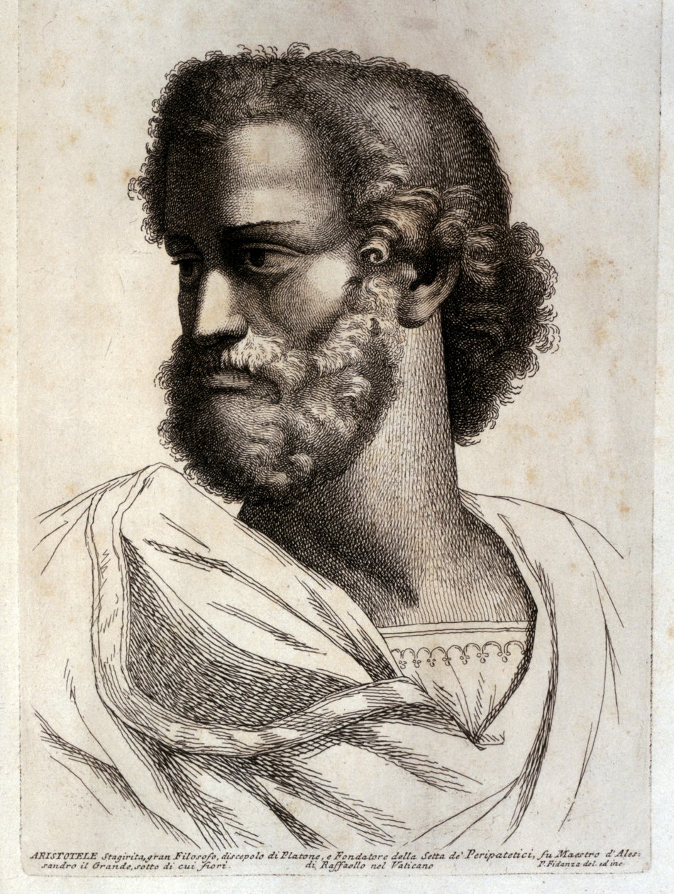 ARISTOTLE autorstwa Paolo Fidanza