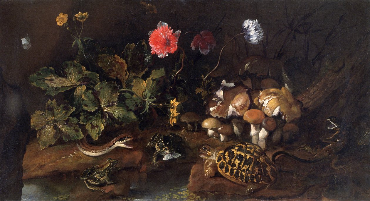 „Martwa natura z wężem, żabami, żółwiem i jaszczurką”, 1656-1673 autorstwa Paolo Porpora