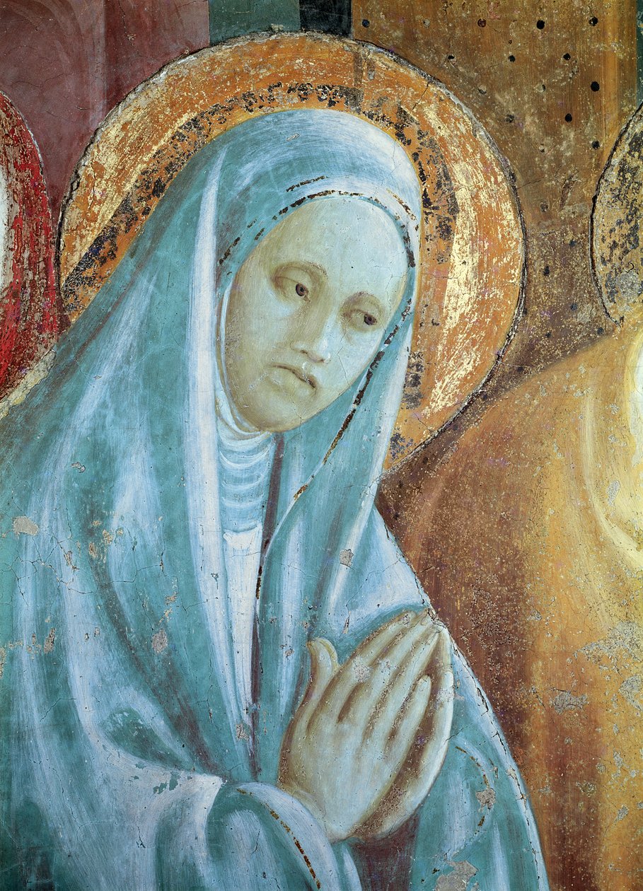Głowa św. Anny z Ofiarowania Maryi w Świątyni, 1433-34 (więcej) autorstwa Paolo Uccello