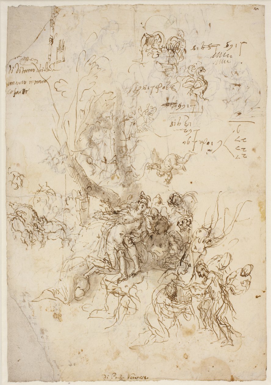 Szkice narodzin i śmierci Adonisa autorstwa Paolo Veronese
