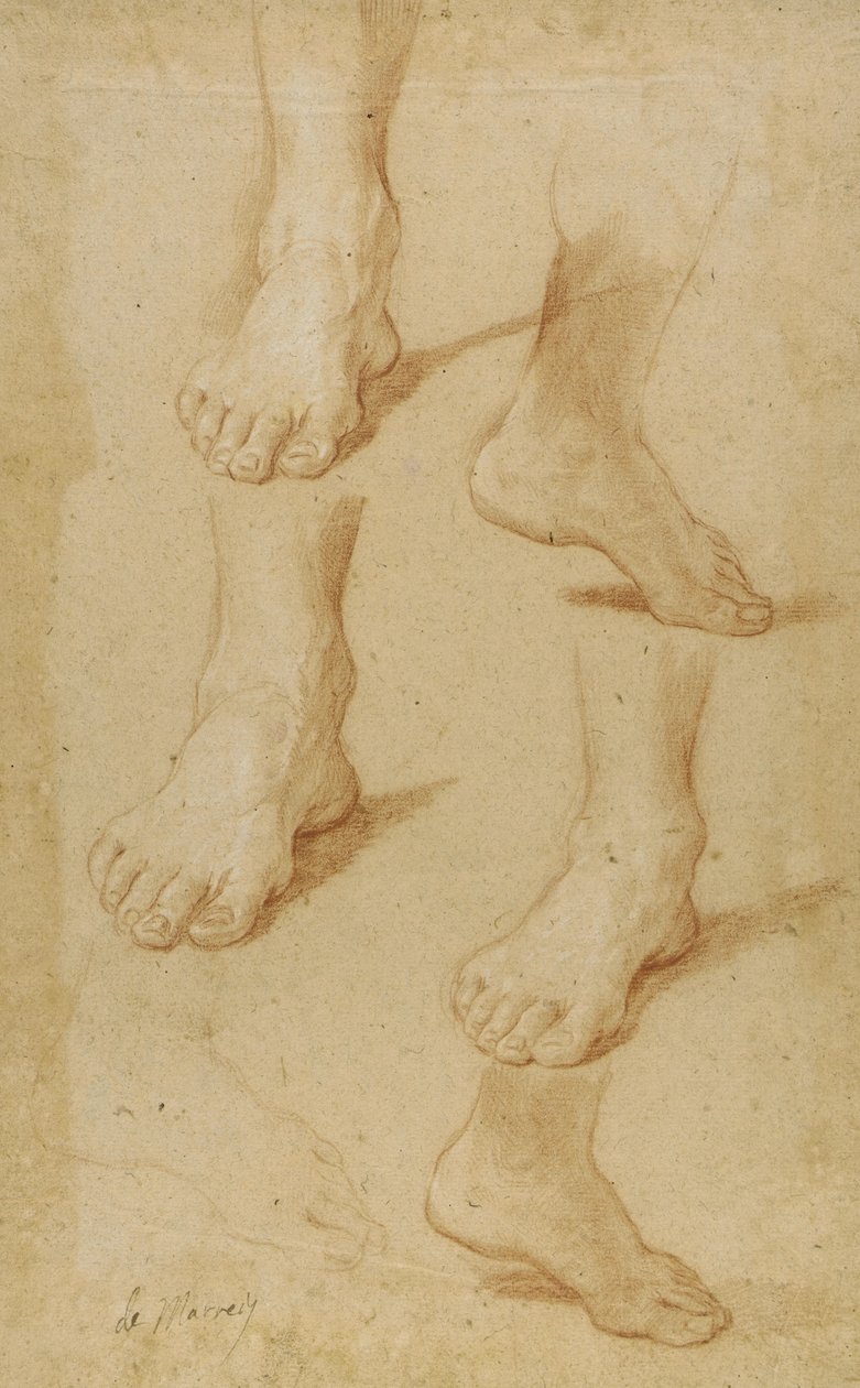Rysunek autorstwa Paolo de Matteis