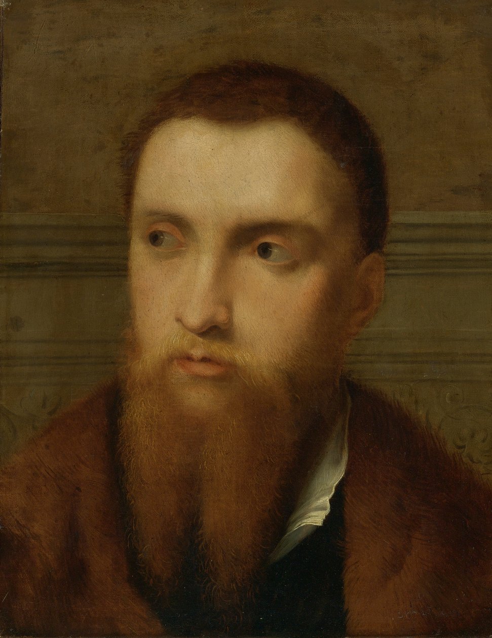Portret brodatego mężczyzny, głowa i ramiona, we wnętrzu autorstwa Paris Bordone