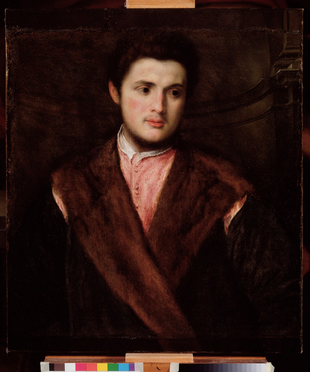 Portret młodego mężczyzny w futrze Obraz Paris Bordon (1500-1571) XVI wiek Dim 75x64 cm Genes Musei di Strada Nuova (ex Palazzo Rosso) autorstwa Paris Bordone