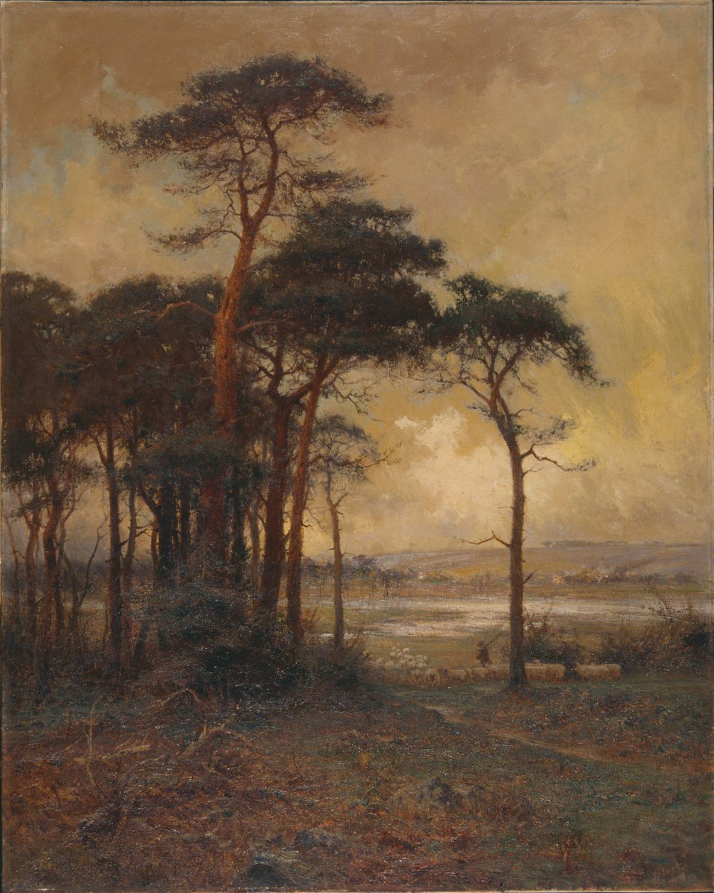 „Od wrzosowiska do torfowiska”, 1879-1934 autorstwa Parker Hagarty