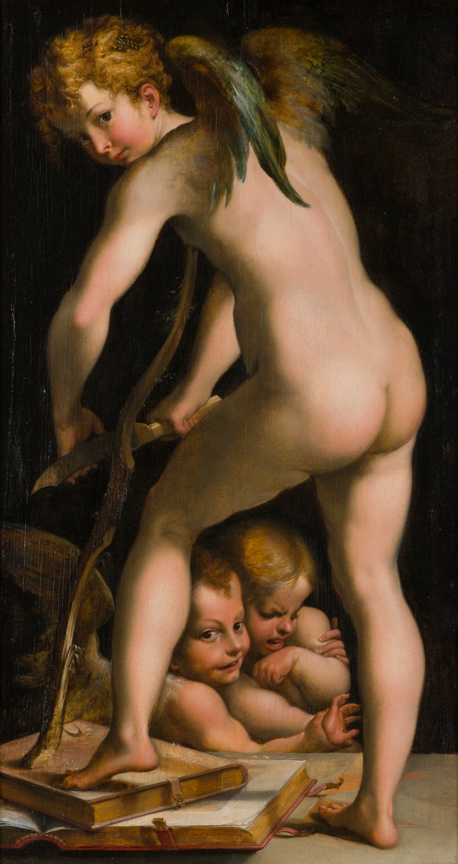 Kupidyn golący łuk, ok. 1523-40 (olej na płótnie) autorstwa Parmigianino 