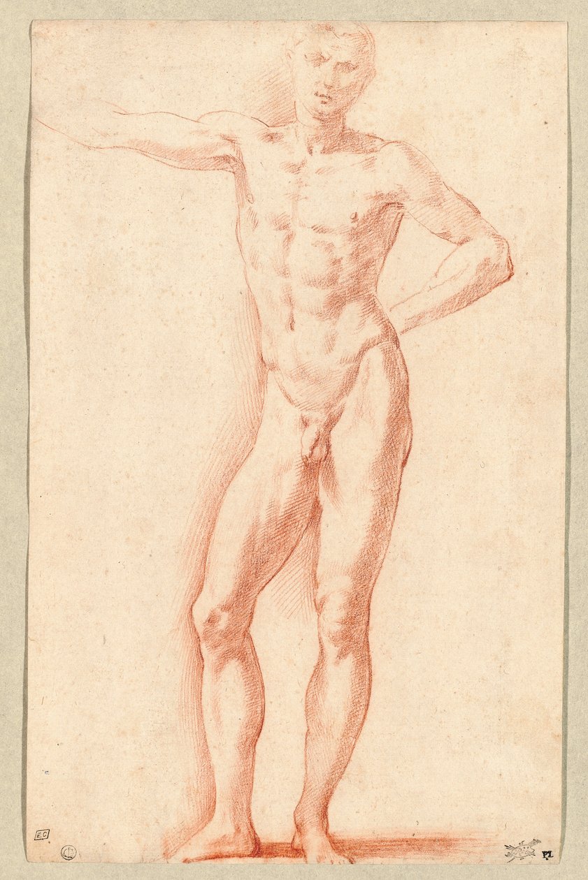 Akt męski (czerwona kreda) autorstwa Parmigianino (1503-40)