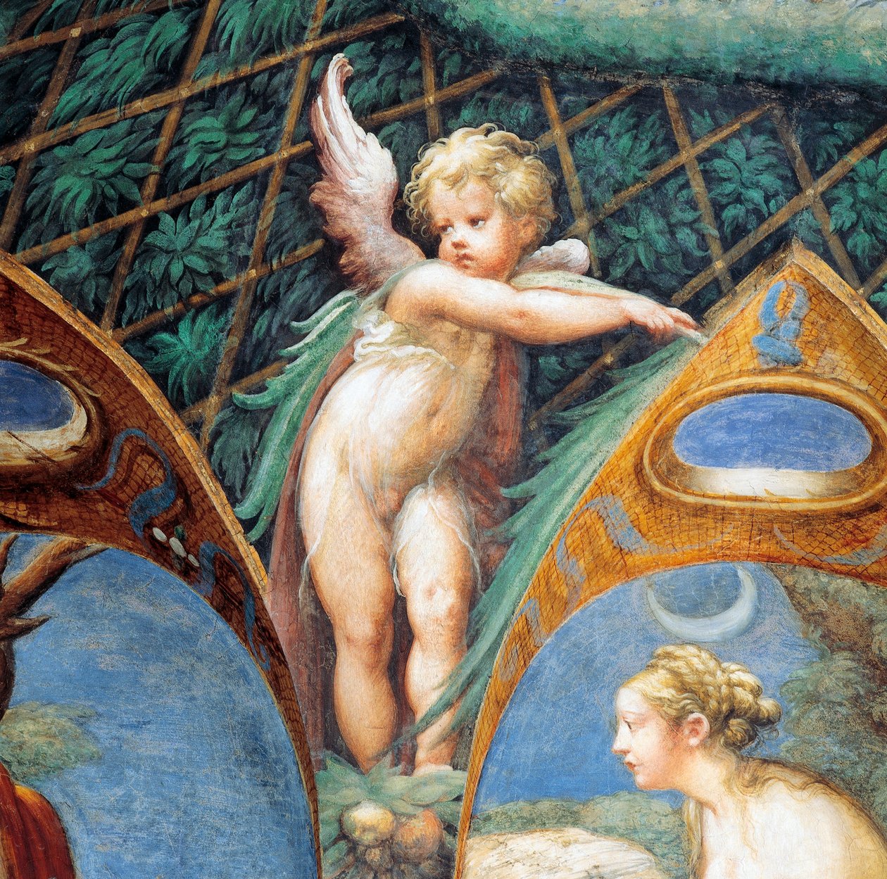 Twarz aniołka i Diany z Mitu o Dianie i Akteonie, ok autorstwa Parmigianino