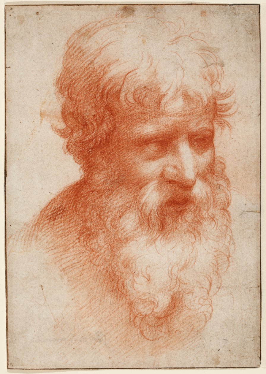 Głowa brodatego mężczyzny, patrząc w prawo, ok. 1523-25 (czerwona kreda na papierze) autorstwa Parmigianino (1503 40)