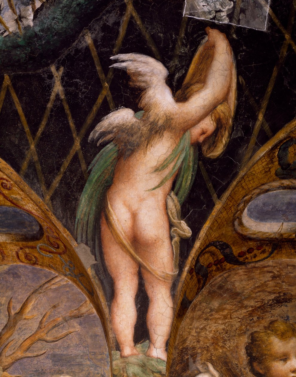 Putto, z mitu o Dianie i Actaeon autorstwa Parmigianino