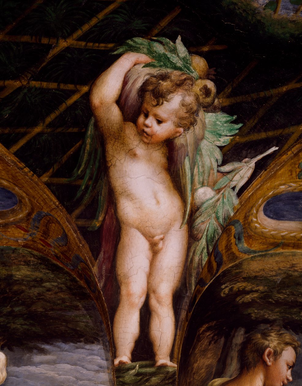 Putto, z mitu o Dianie i Actaeon autorstwa Parmigianino