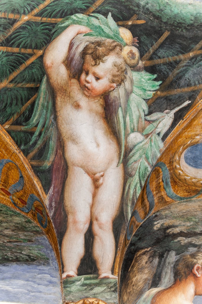 Putto, z Pokoju Diany i Akteona, fragment 2384753 autorstwa Parmigianino