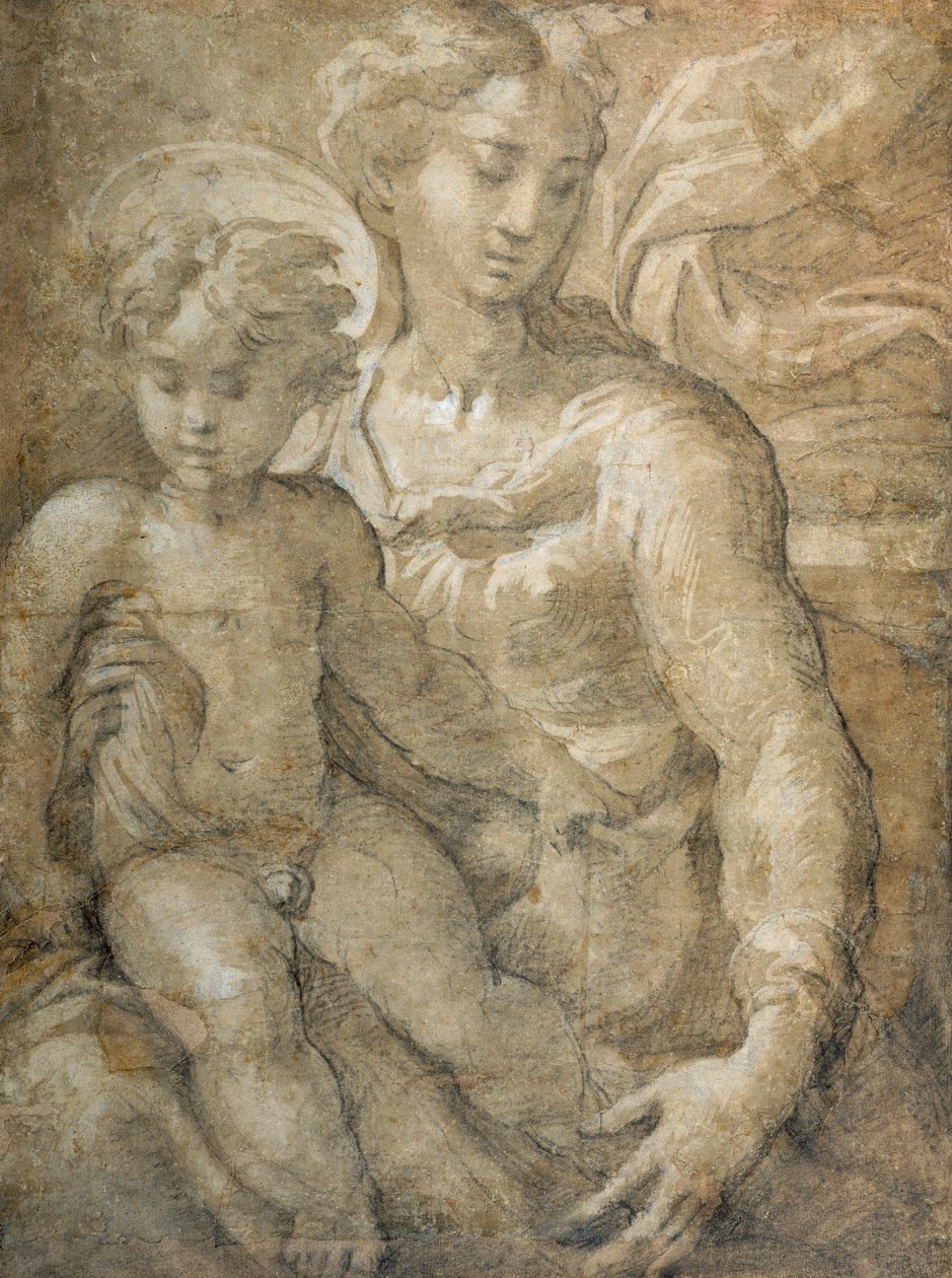 Dziewica z Dzieciątkiem na kolanach (czarna kreda z brązowym wash & biały kolor ciała na papierze) autorstwa Parmigianino 