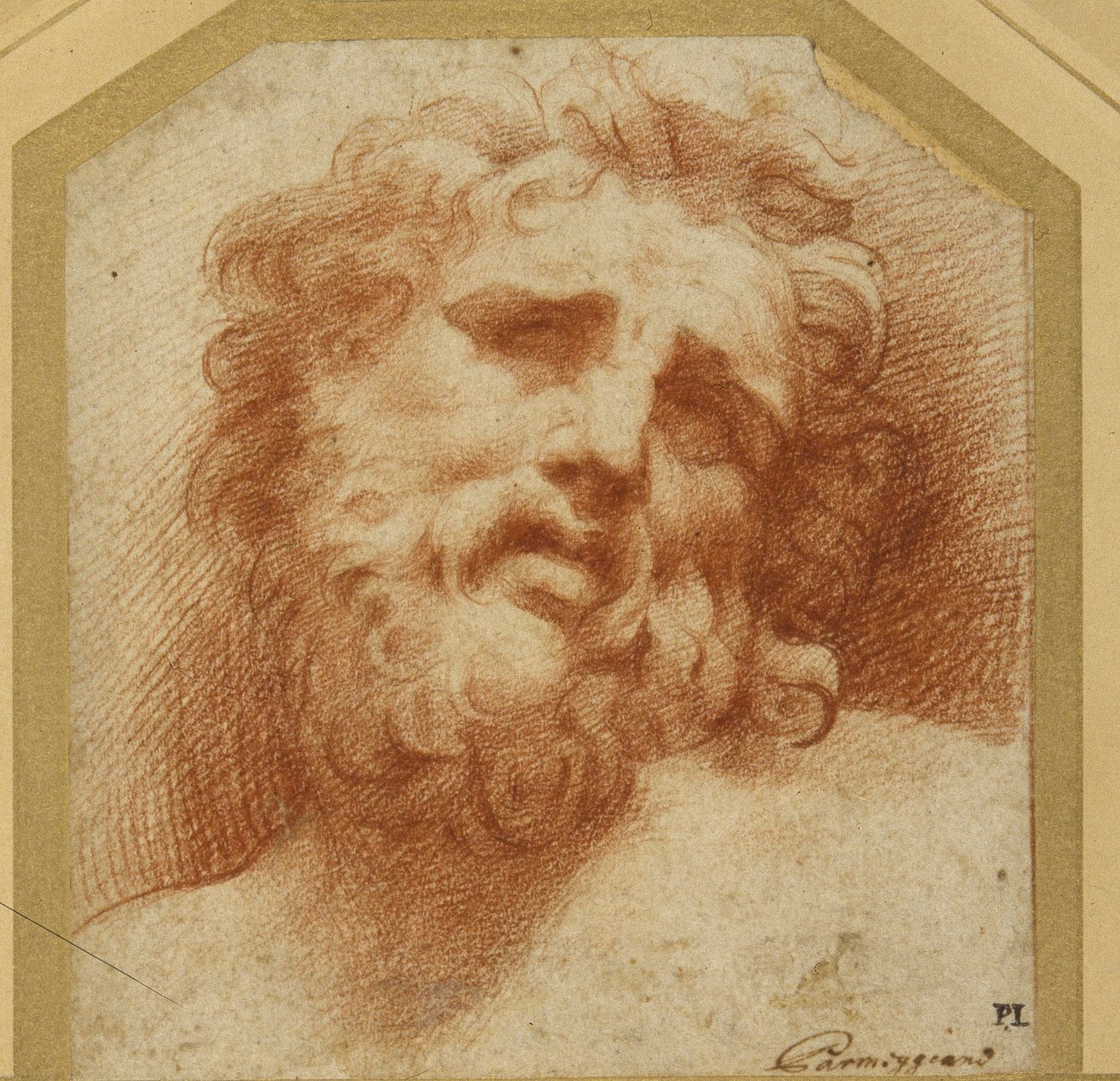 Brodata głowa, patrząca w górę (prawdopodobnie Laokoon) (czerwona kreda na białym papierze) autorstwa Parmigianino