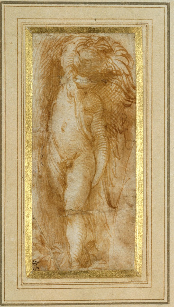 Putto zwrócone w lewo (długopis i brązowy tusz na papierze) autorstwa Parmigianino