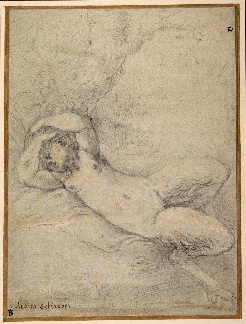 Satyreska śpiąca pod drzewem (czarna kreda z podwyższeniem w białym kolorze ciała na carta azzurra) autorstwa Parmigianino