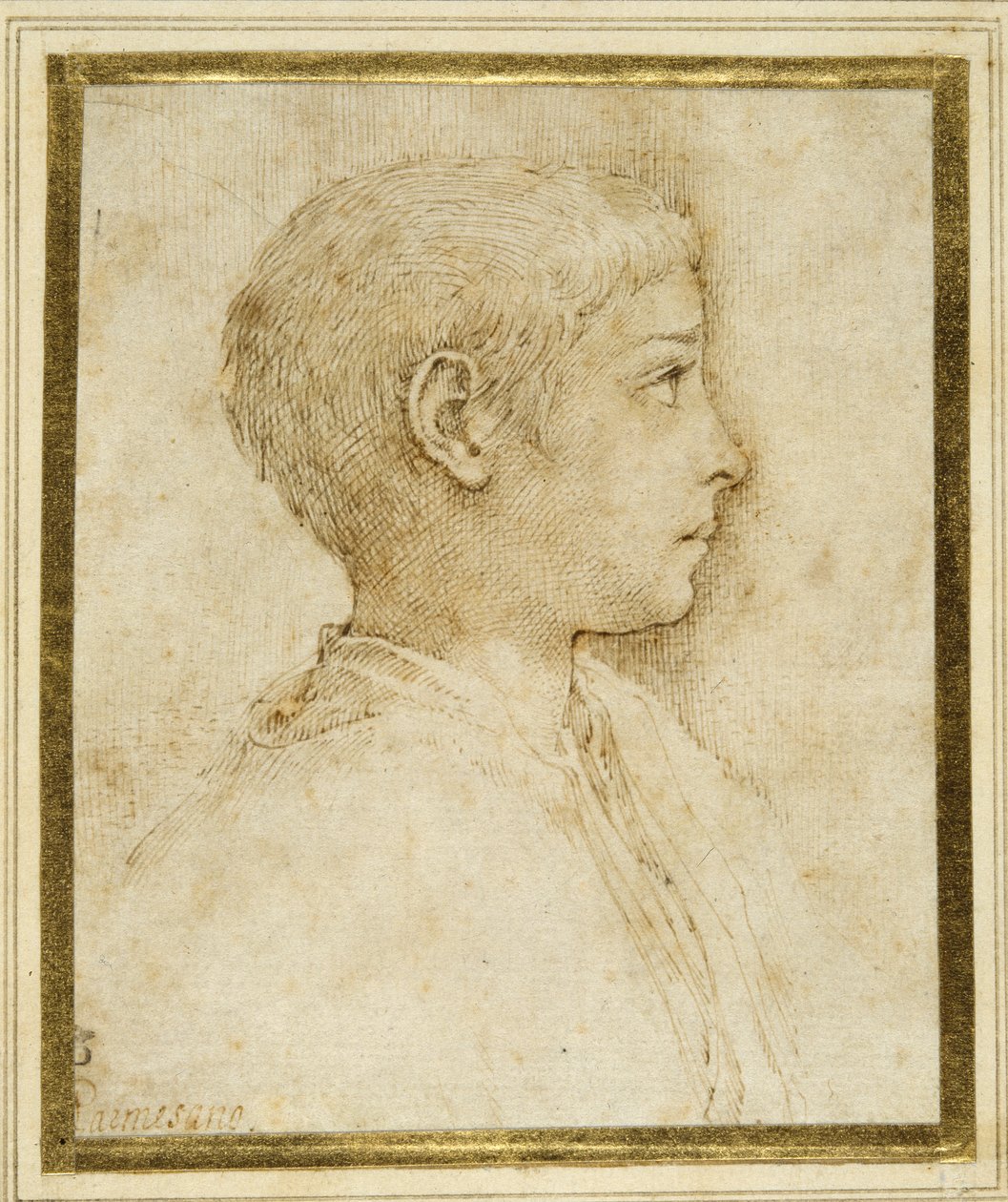 Popiersie chłopca z profilu po prawej (długopis i brązowy tusz na białym papierze) autorstwa Parmigianino