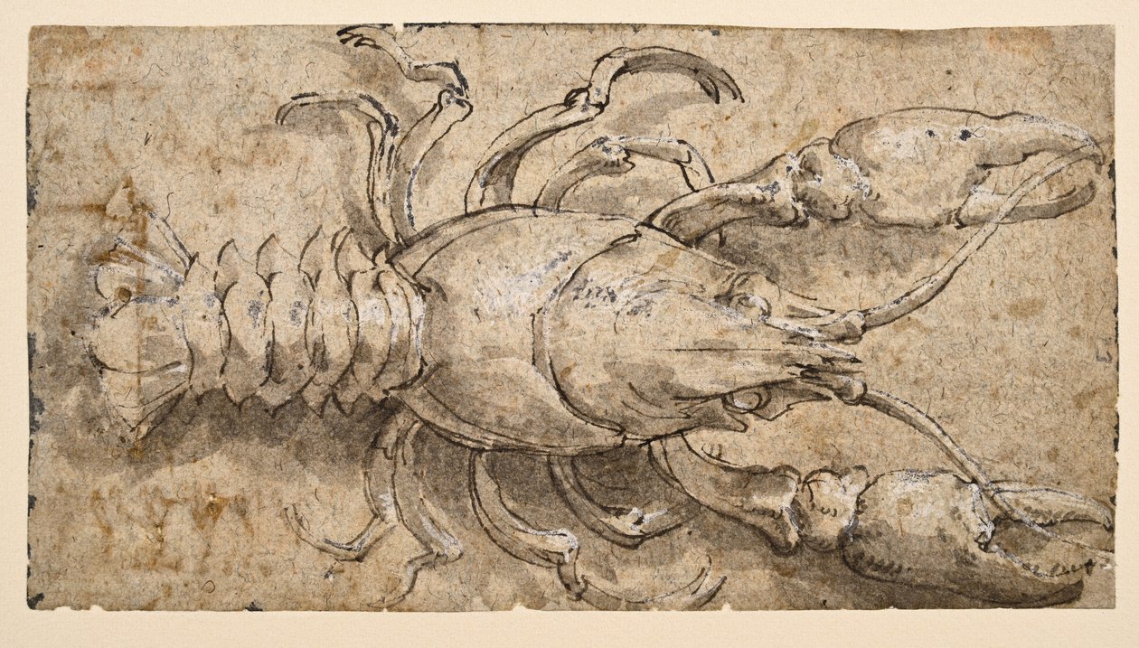 Raki (rekto) autorstwa Parmigianino