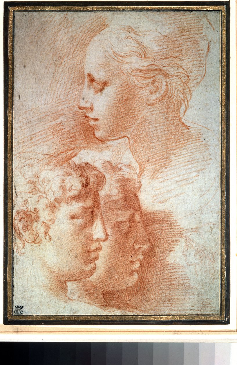 „Etude de tetes” (Studium głów). Profil twarzy młodej dziewczyny i chłopców. Rysunek Girolamo Francesco Maria Mazzola lub Mazzuoli dit il Parmigianino (Parmezan autorstwa Parmigianino