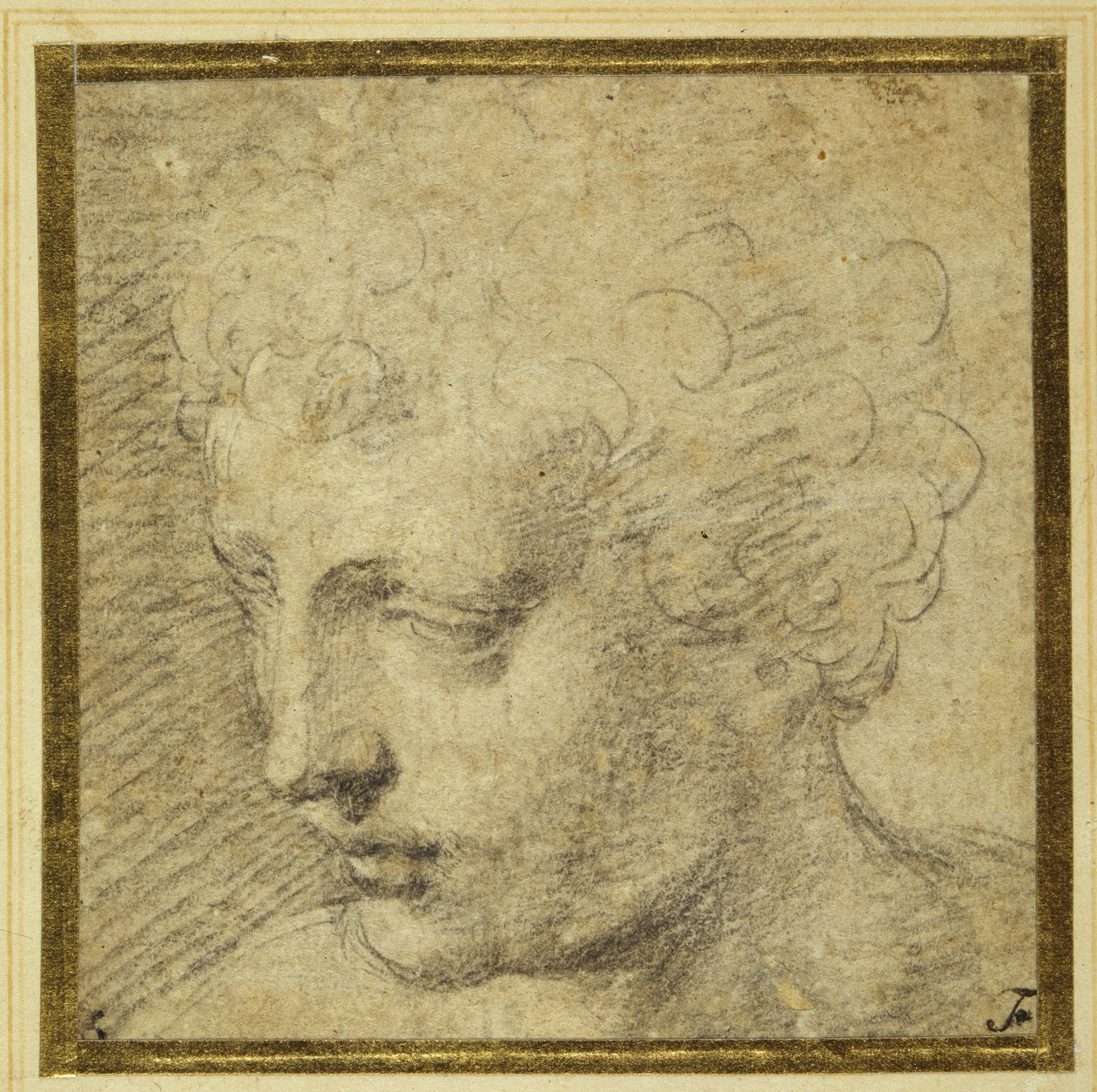 Głowa chłopca, prawie z profilu po lewej stronie (czarna kreda na papierze barwionym) autorstwa Parmigianino