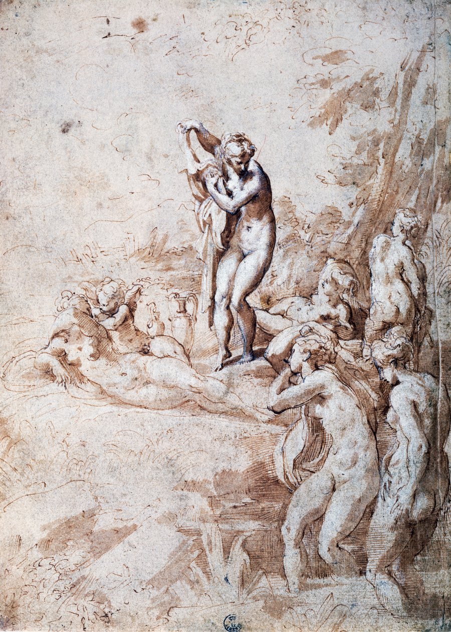 Kąpiel nimf (pióro i rozcieńczony tusz, biały ołów) autorstwa Parmigianino