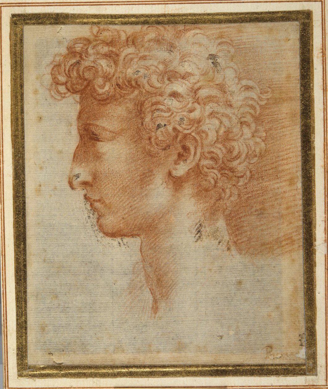 Profil młodego mężczyzny (czerwona kreda na białym papierze) autorstwa Parmigianino