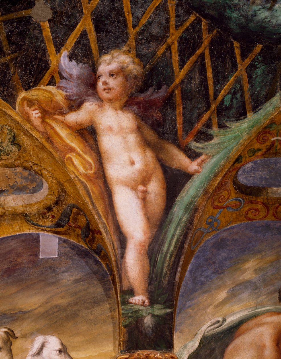 Putto, z mitu o Dianie i Actaeon autorstwa Parmigianino