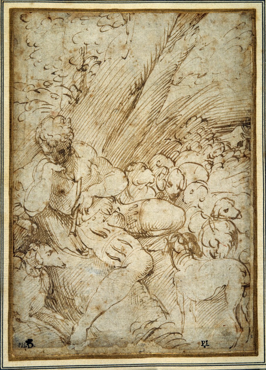 Pasterz trzymający fajkę, odpoczywający pod drzewem z psem wśród ich stada (pióro i brązowy tusz na papierze) autorstwa Parmigianino