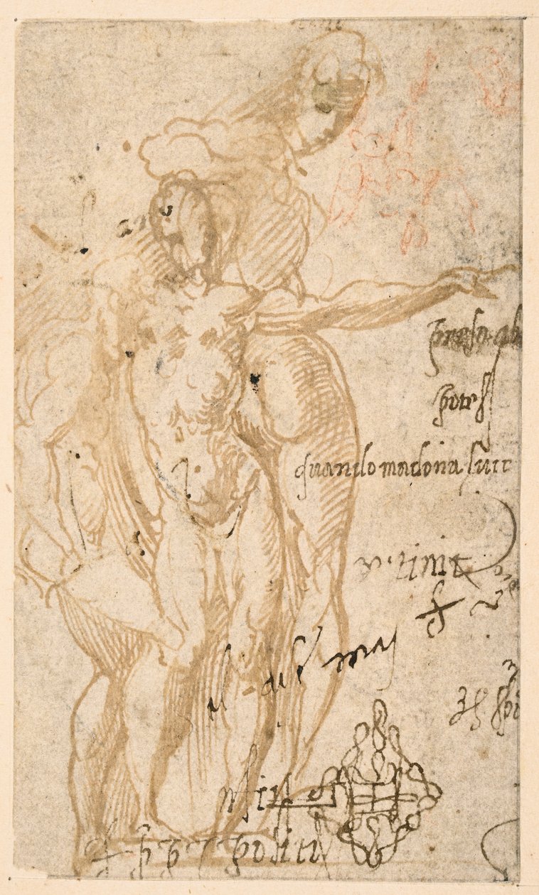 Studium trzech nagich postaci (recto) autorstwa Parmigianino
