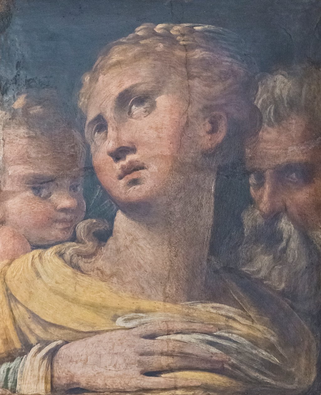 Trzy głowy autorstwa Parmigianino (1503 40)