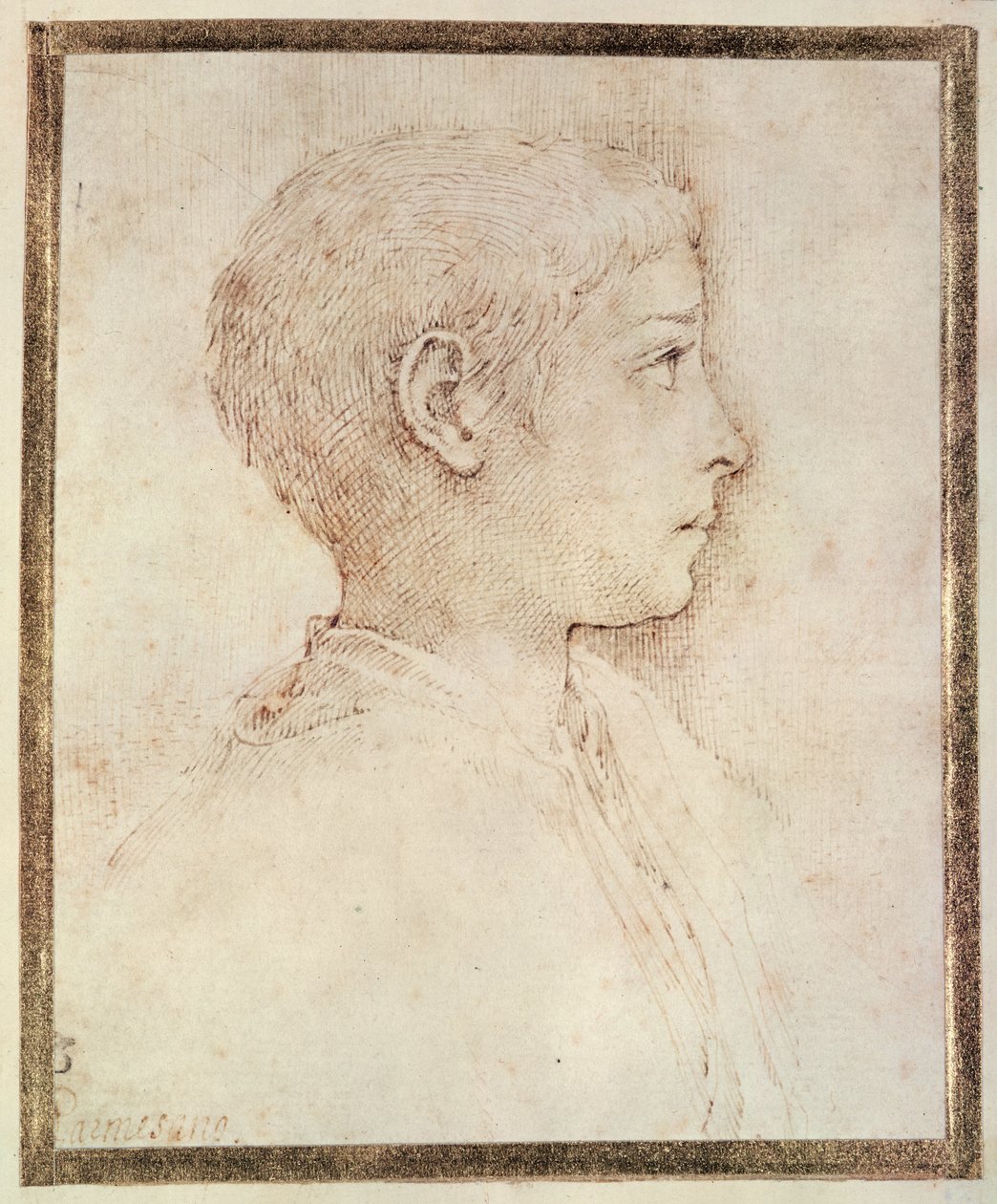 Głowa chłopca autorstwa Parmigianino