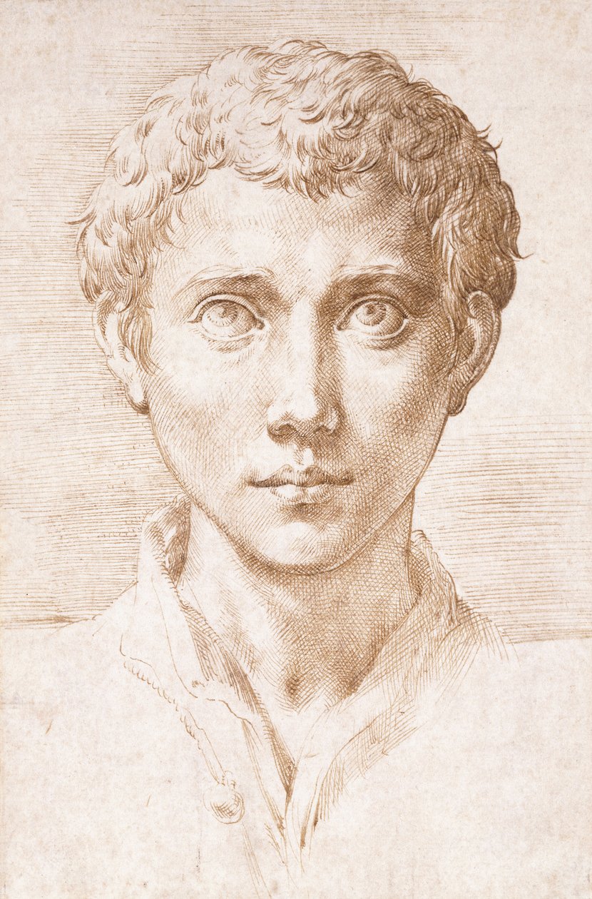 Głowa młodego mężczyzny patrząca w górę, autorstwa Parmigianino