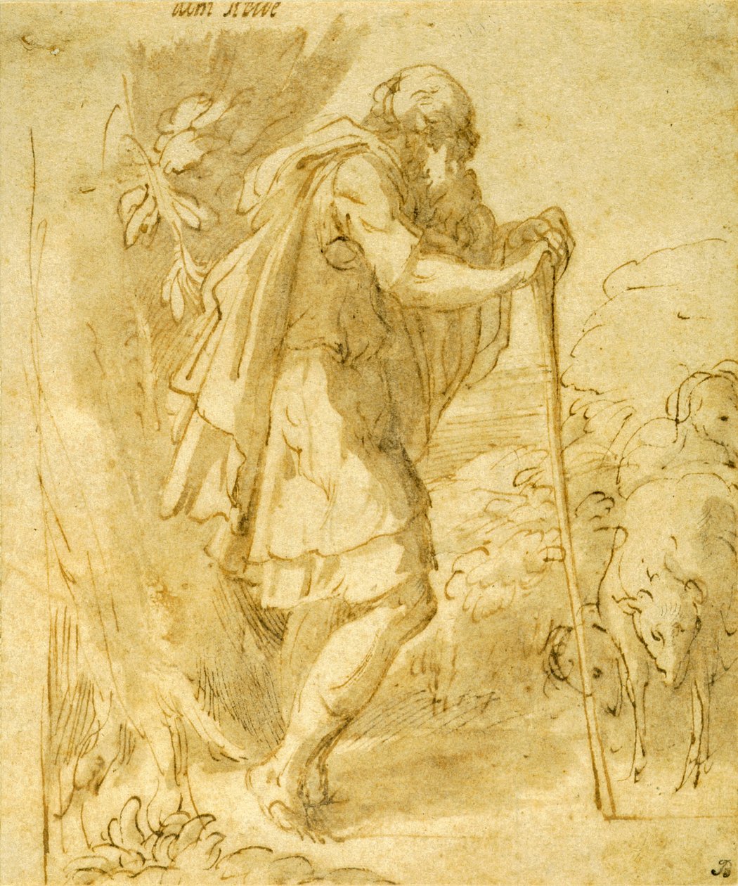 Stary pasterz oparty na lasce autorstwa Parmigianino