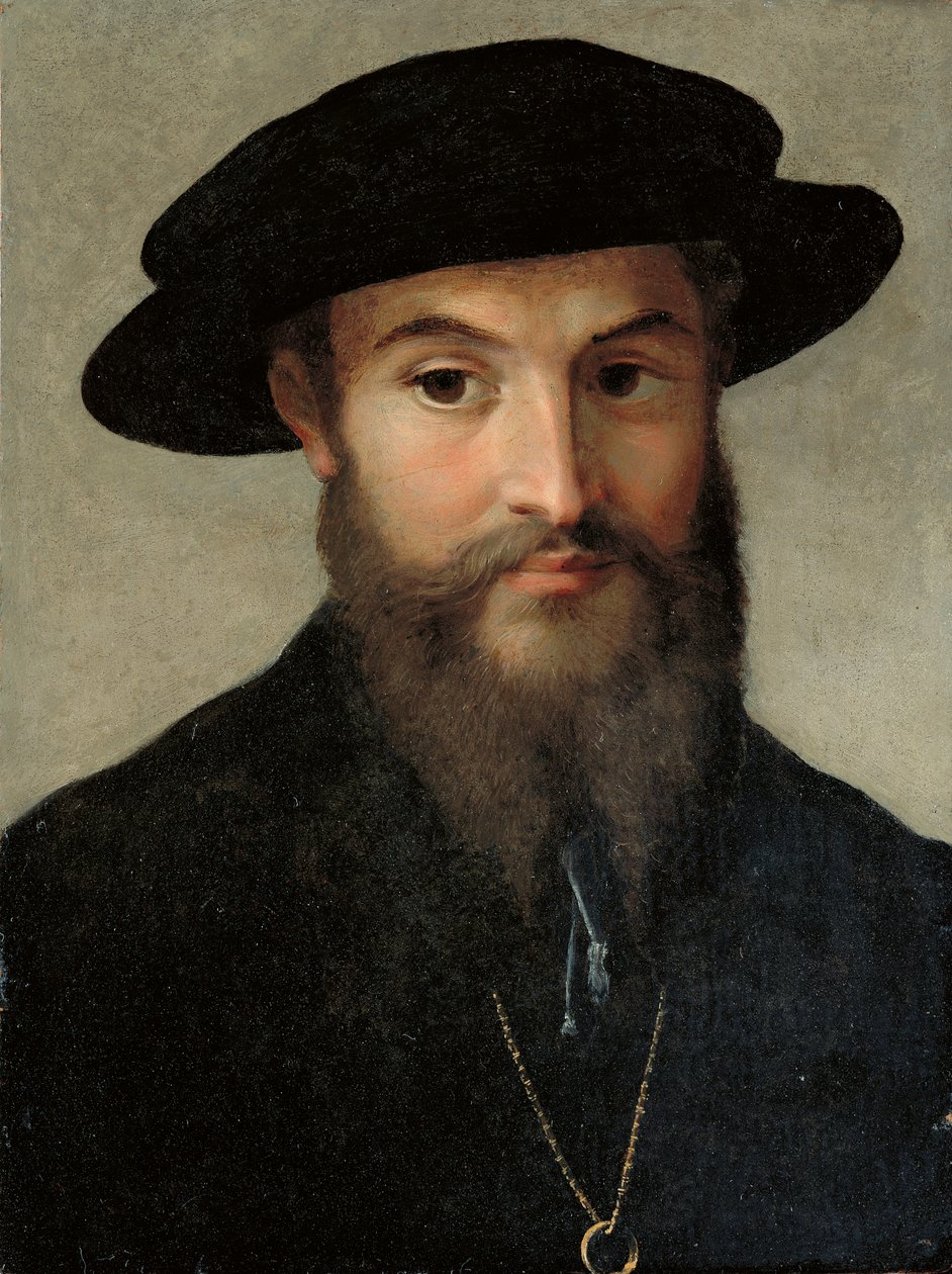 Portret brodatego mężczyzny autorstwa Parmigianino