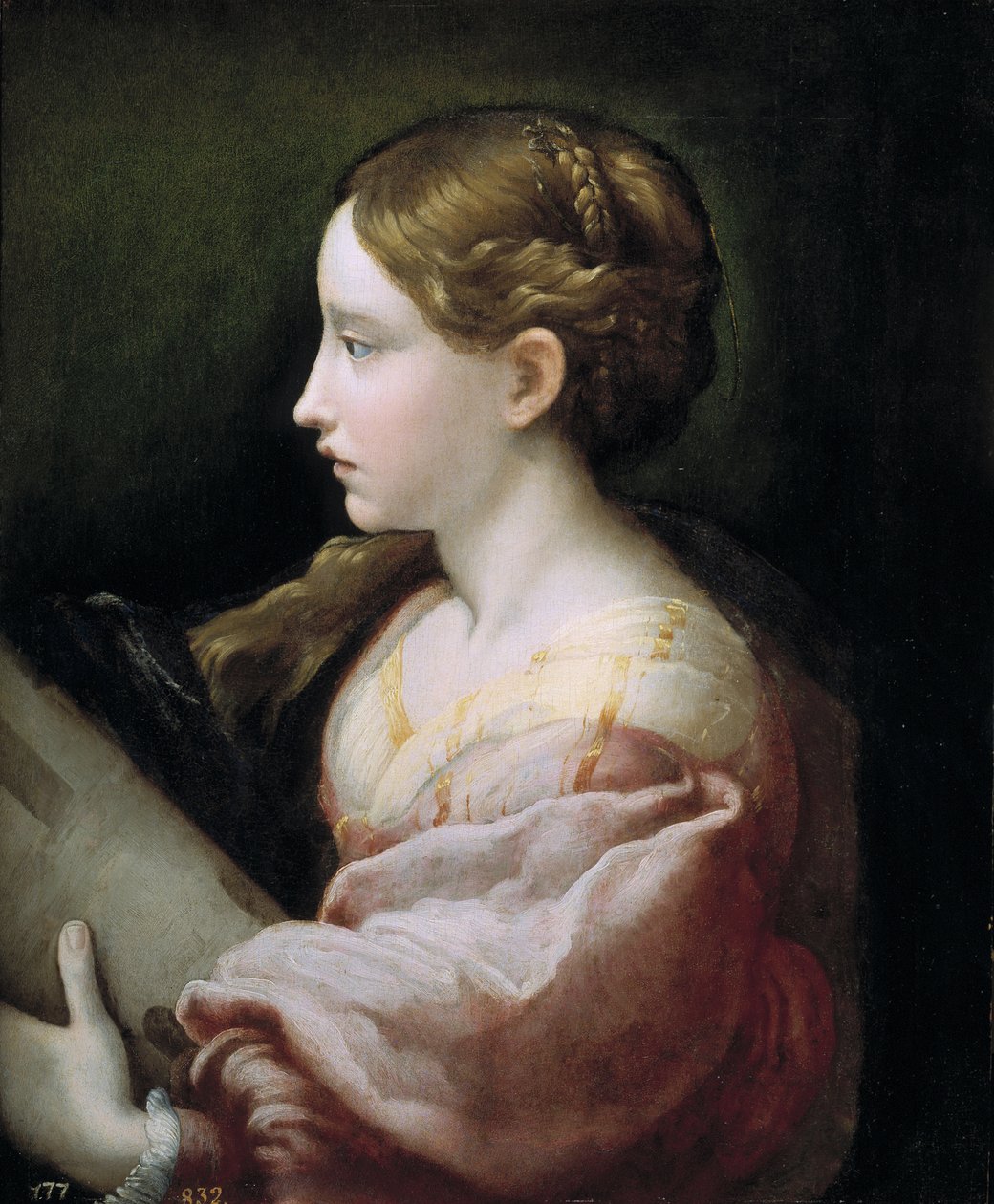 Św. Barbara autorstwa Parmigianino