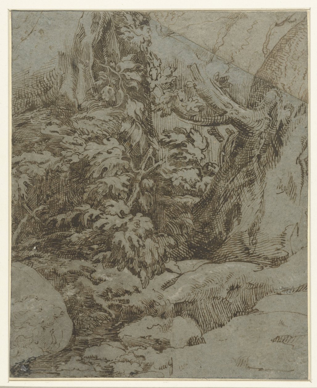 Studium krajobrazu autorstwa Parmigianino