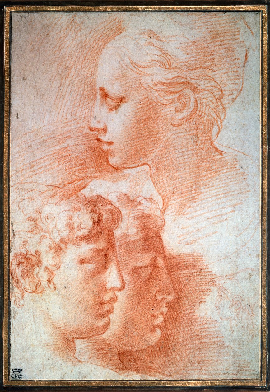 Studium głów, c1527 autorstwa Parmigianino