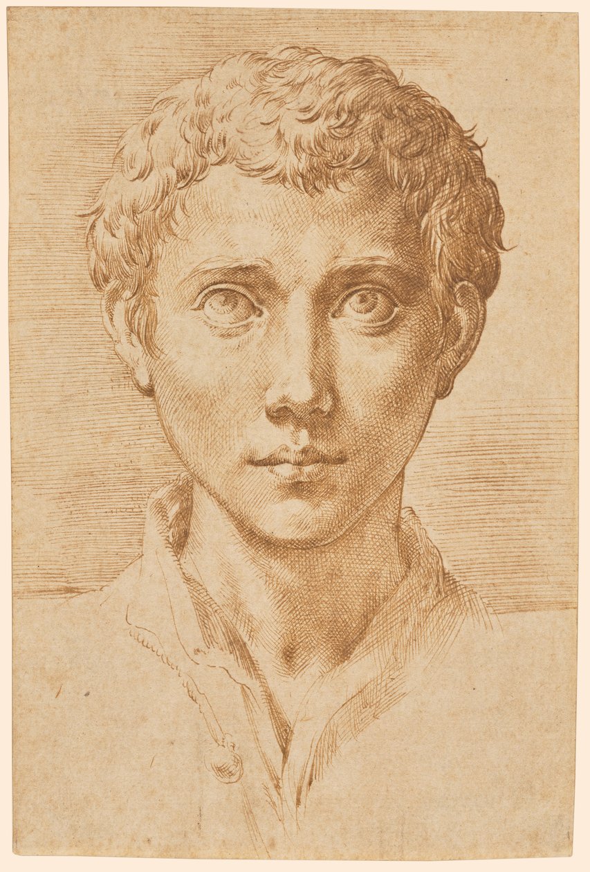 Głowa młodego mężczyzny autorstwa Parmigianino