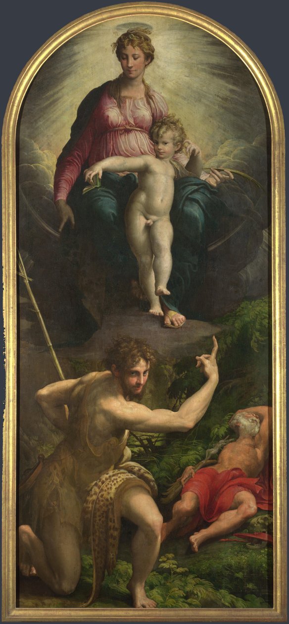 Madonna z Dzieciątkiem ze świętymi Janem Chrzcicielem i Hieronimem, 1527 autorstwa Parmigianino